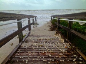 beach access donax ts isaac beach access donax ts isaac