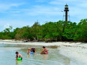 family collect sanibel seashells family collect sanibel seashells