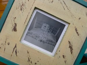 framed shell collection