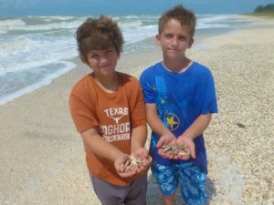 gabriel luke collect seashells