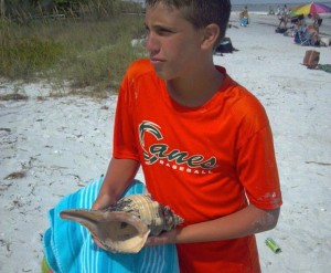 Thomas horse conch Thomas horse conch