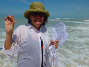 kim alphabet cone captiva