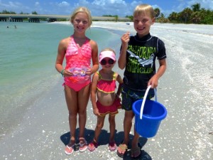 lilly lyla tyler collecting shells lilly lyla tyler collecting shells