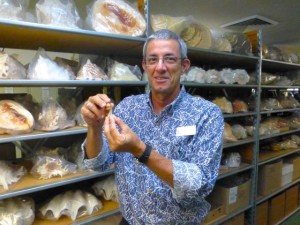 Dr Jose Leal Shell Museum Dr Jose Leal Shell Museum