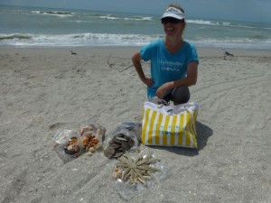 Lauren sand dollars starfish
