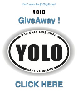 YOLO GIVEAWAY logo YOLO GIVEAWAY logo