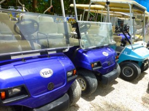 golf cart captiva yolo golf cart captiva yolo