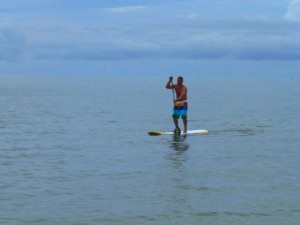 paddle board sanibel