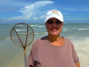 seashell sifter