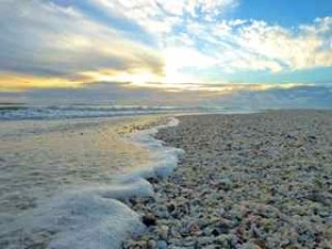 seashell sunset bowmans