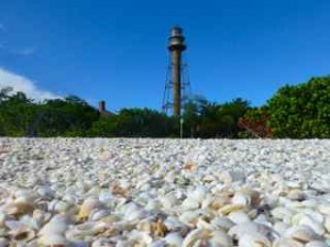 seashells sanibel lighthouse