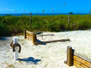 Island Inn Horse shoes beach