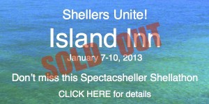 Island Inn Shellathon SOLD OUT Island Inn Shellathon SOLD OUT