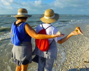 brenda cheryl seashells sanibel brenda cheryl seashells sanibel
