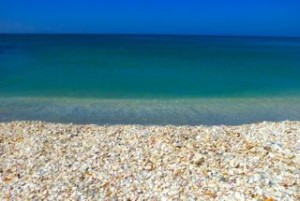 clear aqua water captiva seashells clear aqua water captiva seashells