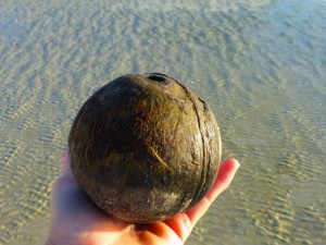 coconut beach bling