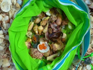 green bag seashells carolyn green bag seashells carolyn