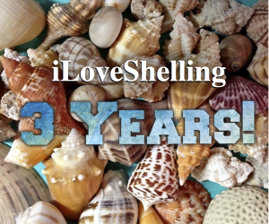 iLS 3 year