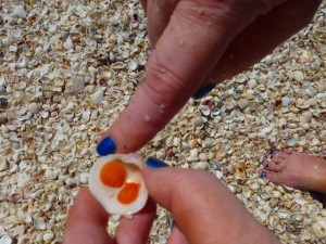 roxanne orange shells blue nails roxanne orange shells blue nails
