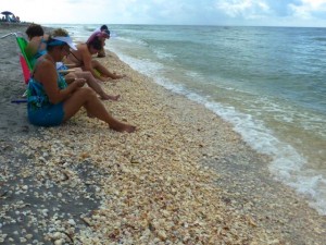 sifting seashells sanibel florida sifting seashells sanibel florida