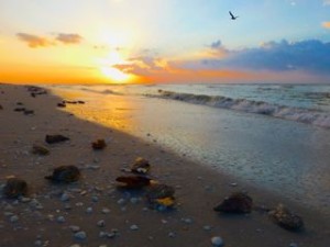 sunrise sanibel hurricane sandy sunrise sanibel hurricane sandy