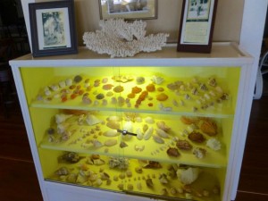 yellow seashell case island inn sanibel