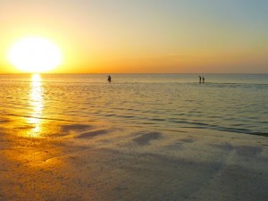 yellow sunrise sanibel shelling