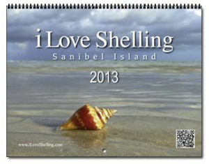 2013 iLS calendar 2013 iLS calendar