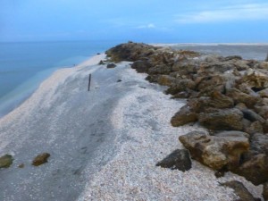 blind pass captiva low tide blind pass captiva low tide