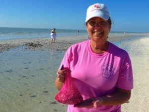 cheryl pink shells sanibel