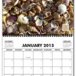 jan 2013 cal blog pic jan 2013 cal blog pic