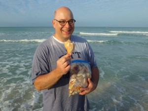 joe lightning whelk captiva joe lightning whelk captiva