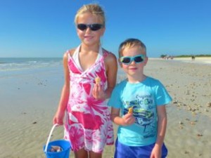 matilda anton sweden florida shells
