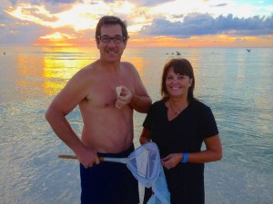 seashelling little hickory bonita florida seashelling little hickory bonita florida