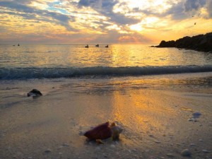sunset bonita springs florida sunset bonita springs florida