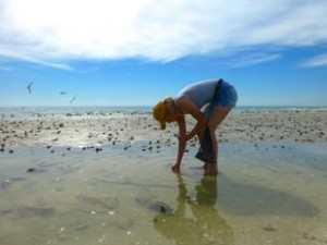 sweden anna collecting seashells sweden anna collecting seashells