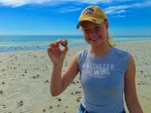 swedish exchange anna seashell sanibel swedish exchange anna seashell sanibel