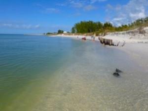 Sanibel erosion blind pass beach Sanibel erosion blind pass beach