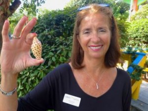 anne sanibel chamber of commerce anne sanibel chamber of commerce