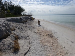 blind pass sanibel erosion pole blind pass sanibel erosion pole