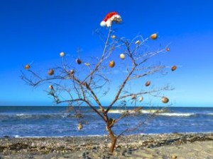 christmas beach tree santa hat