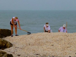 excavating seashells