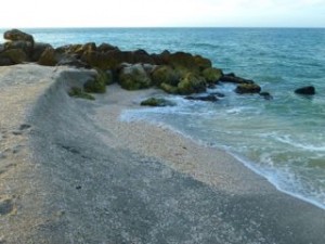 jetty captiva florida seashells jetty captiva florida seashells
