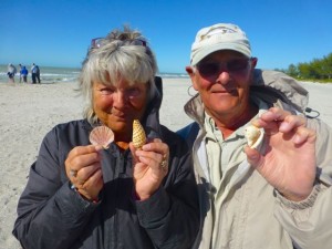 junonia queen helmet england visitors