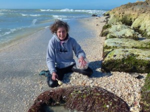 rhonda captiva seashells wetsuit rhonda captiva seashells wetsuit