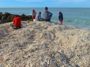 seashell mound captiva florida