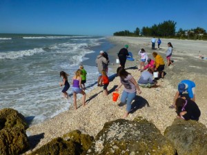 seashellers captiva florida