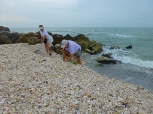 seashelling captiva