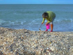seashelling shell mound captiva