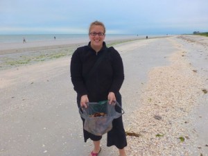 shannon new hampshire seashells shannon new hampshire seashells